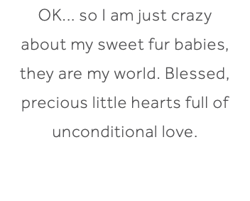 OK... so I am just crazy about my sweet fur babies, they are my world. Blessed, precious little hearts full of unconditional love. 